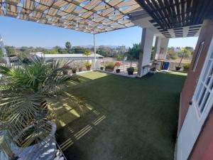a patio with a palm tree in a yard at Casa Mía Morelos in Chiconcuac