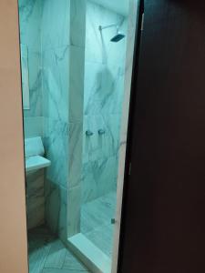 een badkamer met een douche en een glazen deur bij Hotel Don Quijote in Mexicali