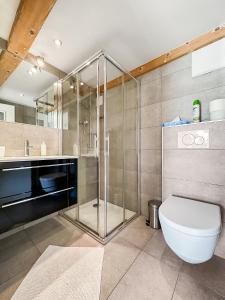 La salle de bains est pourvue d'une douche en verre et de toilettes. dans l'établissement My cosy flat in the mountains, à Anzère