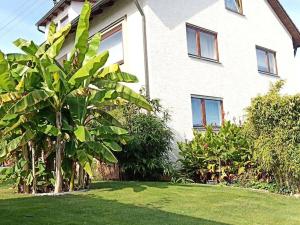 a white house with a tree in the yard at Ferienwohnung Wiesental 89331 Burgau, Wiesentalstrasse 1 in Burgau