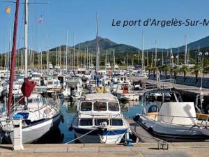 Ein paar Boote sind in einem Yachthafen angedockt. in der Unterkunft Appartement Argelès-sur-Mer, 1 pièce, 2 personnes - FR-1-225-235 in Argelès-sur-Mer