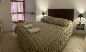 1 dormitorio con 1 cama grande y 2 almohadas en A&B Apartment en Salta