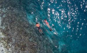 dos personas nadando en el agua en el océano en Hideaway Beach Resort & Spa, en Dhidhdhoo
