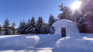 Silence Glamp - Glamping Bieszczady v zime