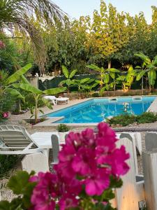 a swimming pool with pink flowers in front of it at Casa Mario & Amaya in Riumar