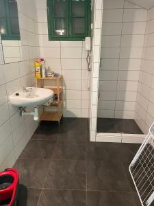 a bathroom with a sink and a shower at Chata POUSTEVNA ( Střelecká ) in Vrbno pod Pradědem