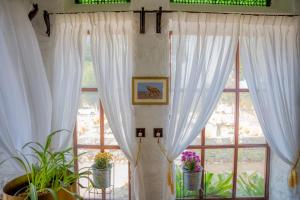 a window with white curtains and plants in a room at Aloof Jungle Lodge in Ghānerao