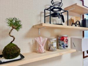 a shelf with a potted plant on top of it at 旅籠屋ゆいまーる in Mameda-shimmachi