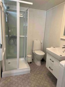 a bathroom with a shower and a toilet and a sink at Koselig hytte med uteplas ved Hallingdalselva in Ål