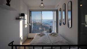 ヴィスワにあるApartamenty Sun & Snow Bukowa Góraのベッドルーム1室(ベッド1台、大きな窓付)