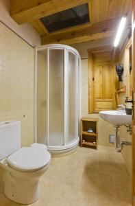 een badkamer met een douche, een toilet en een wastafel bij El Busque Casa Rural in Casla