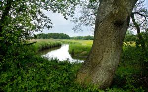 Afbeelding uit fotogalerij van Camping Het Hazenpad in Ruinerwold +17 foto's