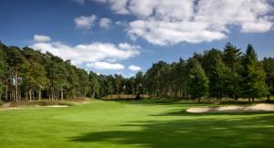 ein üppiger grüner Golfplatz mit Bäumen im Hintergrund in der Unterkunft Deepcut Lodge Bed & Breakfast in Camberley