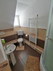 małą łazienkę z toaletą i umywalką w obiekcie Cabana Daria w mieście Gârda de Sus