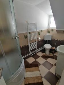 a bathroom with a shower and a toilet and a sink at Cabana Daria in Gârda de Sus