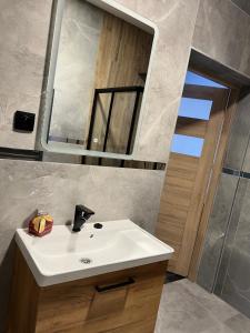 Kúpeľňa v ubytovaní Apartamenty Słowianka-BUTELKOWY + 26 fotografií