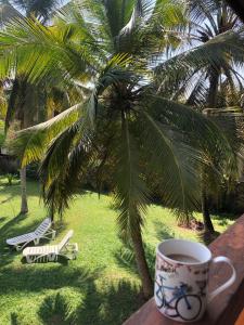 a cup of coffee sitting on a table next to a palm tree at Candle House in Kalutara North