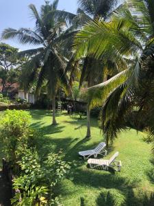two lounge chairs under palm trees in a yard at Candle House in Kalutara North