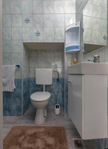 bagno con servizi igienici e TV su un bancone di Apartments Smaila 1729 a Pola (Pula)