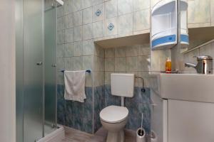 un piccolo bagno con wc e doccia di Apartments Smaila 1729 a Pola (Pula) Altre 54 foto