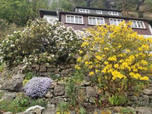 a garden of flowers in front of a house at Villa Belvedere in Kurort Rathen