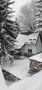 una casa ricoperta di neve con alberi di fronte di Sova a Kopaonik