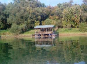 una pequeña casa en el agua cerca de un lago en Slavonija, en Slavonski Brod