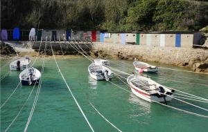 a group of boats docked in a body of water at La Petite Mainnerie in Jobourg