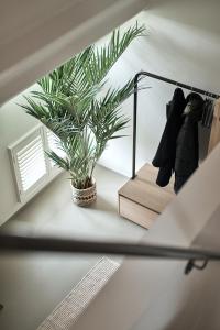 Fotografie z fotogalerie ubytování B&B Vossebergen Hombeek v destinaci Hombeek