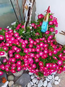 Zahrada ubytování Florianihof Sankt Marxen