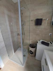 a shower in a bathroom with a glass shower stall at Apartment in Lokva Rogoznica with sea view, balcony, air conditioning, WiFi 5118-4 in Lokva Rogoznica