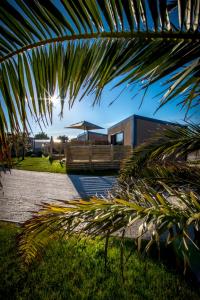 un palmier devant une maison dans l'établissement M&V Resort Camping, à Langrune-sur-Mer