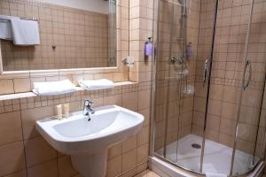 W łazience znajduje się umywalka i prysznic. w obiekcie Pałac Wojanów w mieście Wojanów