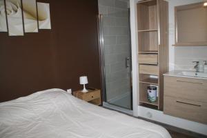 a bedroom with a bed and a shower and a sink at Villa Blanche appartement 2 in Le Mont-Dore