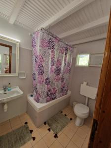 ein Bad mit einem WC und einem Duschvorhang in der Unterkunft Eleni's Apartments in Barbati