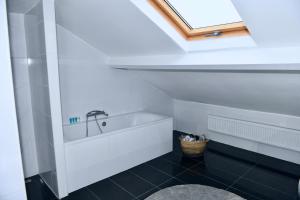 a bathroom with a bath tub and a skylight at Villa Aix in Kerkrade