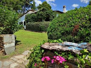 Zahrada ubytování Villa Pigadi Nikiti beach vacation