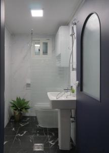 a bathroom with a sink and a toilet and a mirror at Mapo 2bedroom house in Seoul