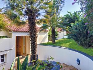 卡尼索Villa Garajau by LovelyStay的房子前面的一棵棕榈树