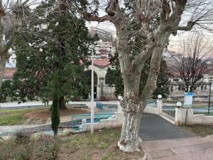 Fotografia z galérie ubytovania Résidence l'Hermitage - appart face aux thermes v destinácii Royat