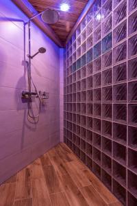 a bathroom with a shower with glass block wall at Villa Landidyll mit separatem Wellness-Bereich in Joachimsthal