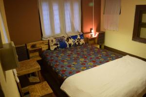 een slaapkamer met een groot bed in een kamer bij Happy Donkey hostel in Kathmandu