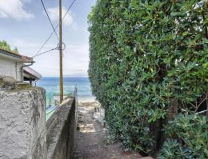 a hedge next to a beach with the ocean at Appartamento Il Nido in Palazzo
