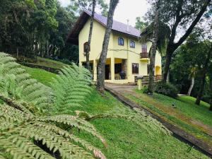 una casa amarilla con una gran planta verde delante de ella en Pousada 1800 Altitude Monte Verde en Monte Verde