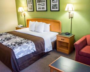 um quarto de hotel com uma cama e uma cadeira em Sleep Inn & Suites Pineville - Alexandria em Pineville