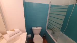 W łazience znajduje się toaleta i przeszklony prysznic. w obiekcie Bel appartement en centre-ville avec terrasse w mieście Pau +13 zdjęć
