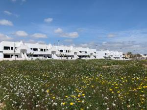 a field of flowers in front of white buildings at Villamar 15B - Ático con solárium cerca de las salinas in San Pedro del Pinatar