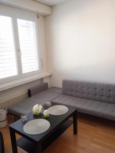 Studio flat in the heart of Zug, ideal for solo travellers في زوغ: غرفة معيشة مع أريكة وطاولة قهوة