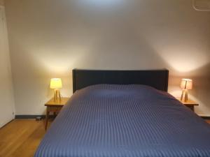 - une chambre avec un lit et 2 lampes sur 2 tables dans l'établissement Appartement centre-ville proche lac et thermes, à Thonon-les-Bains