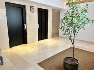 Imagen de la galería de Apartamentos Bruja, en Santa Cruz de Tenerife